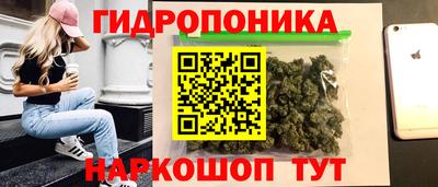 прущие грибы Гагарин