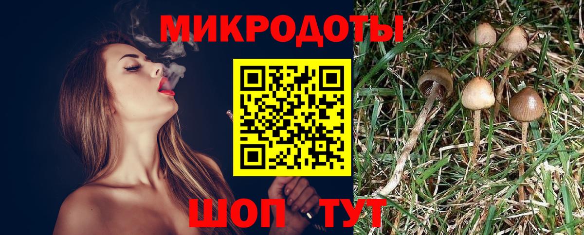 дарнет шоп  Вход с VPN  Орск  Галлюциногенные грибы GOLDEN TEACHER 